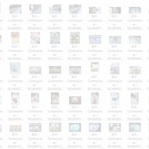 Duplikat Foto Windows Explorer
