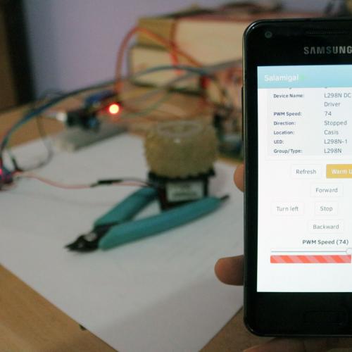 DC Motor PWM Speed Direction Control via Web Interface